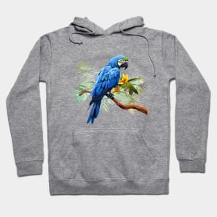 Hyacinth Macaw Hoodie